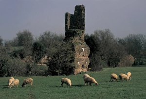 <b class=qtipBold><figcaption>Italy. Umbria. Otricoli</figcaption></b><br><em>© Marka/Universal Images Group</em> Italy. Umbria. Otricoli