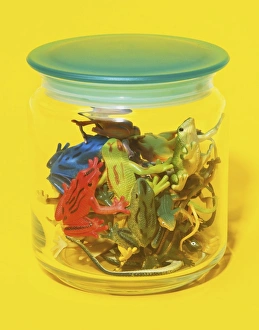 Jar containing toy frogs on yellow background