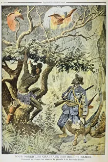 Killing Birds of Paradise, New Guinea, 1908. The European hunter has a gun, while Killing Birds of Paradise, New Guinea, 1908. The European hunter has a gun, while