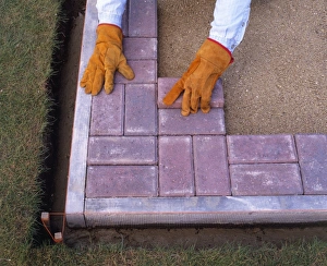 <b class=qtipBold><figcaption>Laying paving, close-up</figcaption></b><br><em>© Dorling Kindersley/UIG</em> Laying paving, close-up