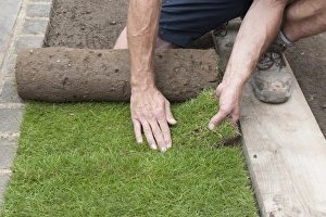 <b class=qtipBold><figcaption>Laying turf</figcaption></b><br><em>© Dorling Kindersley/UIG</em> Laying turf