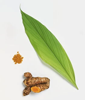Leaf and fresh rhizome from Turmeric (Curcuma longa) used as medicinal herbal remedy