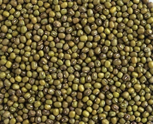 <b class=qtipBold><figcaption>Lentils</figcaption></b><br><em>© Dorling Kindersley/UIG</em> Lentils