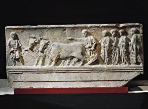 Limestone 'sulcus primigenius' relief, representing ceremony of foundation of Limestone 'sulcus primigenius' relief, representing ceremony of foundation of