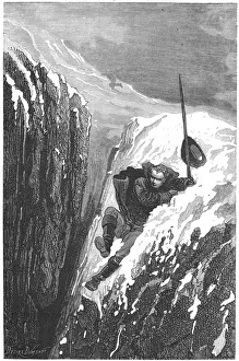 Linnaeus (Carl von Linne -1707-1778). Swedish scientist and naturalist nearly losing Linnaeus (Carl von Linne -1707-1778). Swedish scientist and naturalist nearly losing