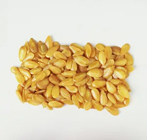 <b class=qtipBold><figcaption>Linseed</figcaption></b><br><em>© Dorling Kindersley/UIG</em> Linseed