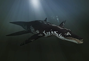 <b class=qtipBold><figcaption>Liopleurodon in sea</figcaption></b><br><em>© Dorling Kindersley/UIG</em> Liopleurodon in sea