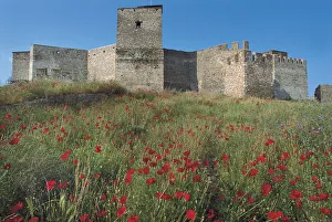 Low angle view of a fortress, Theodosian walls, Thessaloniki, Central Macedonia, Greece Low angle view of a fortress, Theodosian walls, Thessaloniki, Central Macedonia, Greece