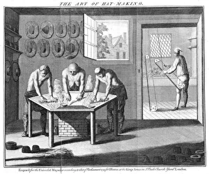 Making beaver hats, 1750. Although called beaver, little or no beaver fur was used Making beaver hats, 1750. Although called beaver, little or no beaver fur was used