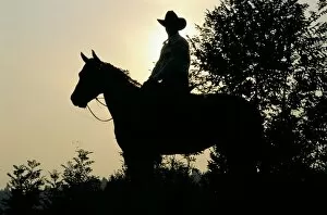 Cowboy Hats Gallery: Man. Horse