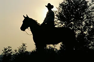 Cowboy Hats Gallery: Man. Horse