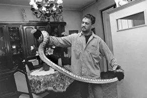 Related Images Gallery: man with python