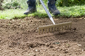<b class=qtipBold><figcaption>Man using rake on soil in garden</figcaption></b><br><em>© Dorling Kindersley/UIG</em> Man using rake on soil in garden