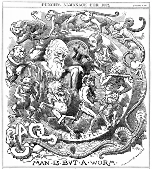 Man is but a worm. Cartoon from Punch , London, 6 December 1881 Man is but a worm. Cartoon from Punch , London, 6 December 1881