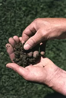 Mans hands feeling soil