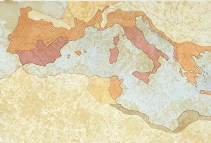Map of the territories under Roman rule after the Second Punic War (218-201 BC) Map of the territories under Roman rule after the Second Punic War (218-201 BC)