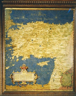 Map of Turkey and Cyprus, by Stefano Buonsignori, oil painting, 1575-1584 Map of Turkey and Cyprus, by Stefano Buonsignori, oil painting, 1575-1584
