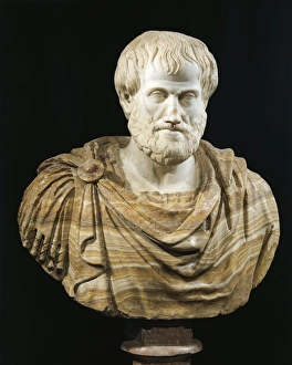 Marble and alabaster bust of Aristotle, copy of Greek bronze original by Lysippus Marble and alabaster bust of Aristotle, copy of Greek bronze original by Lysippus