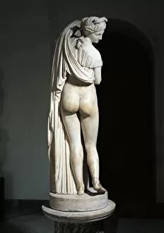 Standing Collection: Marble Aphrodite Kallipygos or Callipygian Venus statue, Roman copy of Hellenistic original