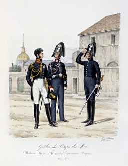 Medical Officer, Chief Veterinary Office of the Royal Guard, 1820-1830. From Histoire Medical Officer, Chief Veterinary Office of the Royal Guard, 1820-1830. From Histoire