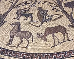 Morocco, Meknes-El Menzeh, Orpheus surrounded by animals, detail of monkey, horse, antilope and gryphon in House of Orpheus at Ancient city of Volubilis, Mosaic