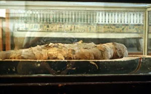 Mummy wrapped in bandages and lying on base of coffin. Cairo Museum. Egypt Mummy wrapped in bandages and lying on base of coffin. Cairo Museum. Egypt