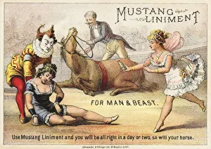 Mustang Liniment Trade Card. ca. 1890, Mustang Liniment Trade Card Mustang Liniment Trade Card. ca. 1890, Mustang Liniment Trade Card