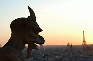 Images Dated 19th February 2002: Notre Dame of Paris cathedral gargoyle at sunset