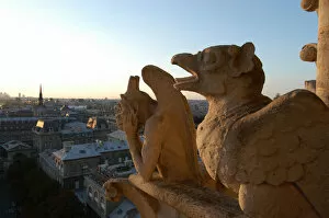 Images Dated 19th February 2002: Notre Dame of Paris cathedral gargoyles