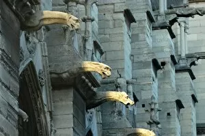 Images Dated 7th June 2003: Notre Dame of Paris cathedral gargoyles