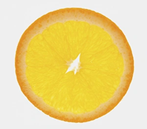 <b class=qtipBold><figcaption>Orange slice</figcaption></b><br><em>© Dorling Kindersley/UIG</em> Orange slice
