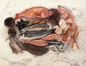 Overhead view of a platter of fresh fish and seafood including mussels, prawns Overhead view of a platter of fresh fish and seafood including mussels, prawns