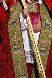 Easter Week Gallery: Palm sunday procession