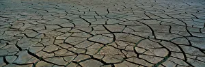 Georgia Gallery: This is a pattern in dry, cracked mud