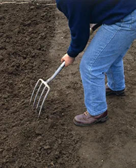 <b class=qtipBold><figcaption>Person forking over moist soil</figcaption></b><br><em>© Dorling Kindersley/UIG</em> Person forking over moist soil