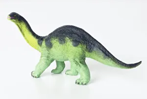 <b class=qtipBold><figcaption>Plastic model of a dinosaur</figcaption></b><br><em>© Dorling Kindersley/UIG</em> Plastic model of a dinosaur