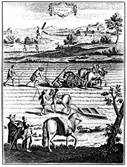 Ploughing and harrowing with horses and sowing seed broadcast. In background is a Ploughing and harrowing with horses and sowing seed broadcast. In background is a