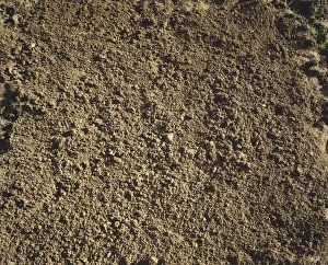 <b class=qtipBold><figcaption>Porous brown surface</figcaption></b><br><em>© Dorling Kindersley/UIG</em> Porous brown surface