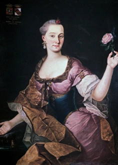 Portrait of Anna Maria Baroness Erberg (c1741-1769). Oil on canvas. Forunat Bergant Portrait of Anna Maria Baroness Erberg (c1741-1769). Oil on canvas. Forunat Bergant