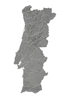 Portugal, Relief Map With District Boundaries