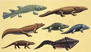 Prehistoric reptiles, illustration Prehistoric reptiles, illustration