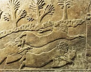 Images Dated 9th March 2014: Relief with scene of flight from city besieged by Ashurbanipal, from ancient Nimrud, Calah, Iraq