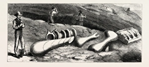 Remains Of Gigantic Antediluvian Animals Recently Discovered In The Rocky Mountains Remains Of Gigantic Antediluvian Animals Recently Discovered In The Rocky Mountains