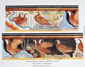 Reproduction of fresco of Partridges from Palace of Minos at Knossos by Sir Arthur John Reproduction of fresco of Partridges from Palace of Minos at Knossos by Sir Arthur John
