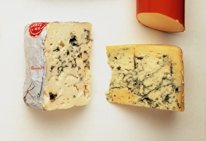 <b class=qtipBold><figcaption>Roquefort Cheese</figcaption></b><br><em>© Dorling Kindersley/UIG</em> Roquefort Cheese