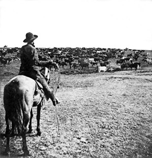 Cowboy Hats Gallery: Round-up Time In Kansas