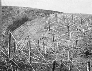 Russian barbed wire entanglements Russian barbed wire entanglements