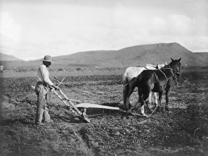 Sacaton Indian Reservation. Indian plowing his land. Salt River Project, 1930 Sacaton Indian Reservation. Indian plowing his land. Salt River Project, 1930
