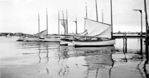 Images Dated 23rd June 2004: Sailboats docked, Marthas Vineyard, Massachusetts