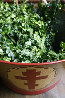 Saint Serge orthodox church - palm sunday boxwood Saint Serge orthodox church - palm sunday boxwood